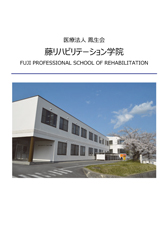 PDF